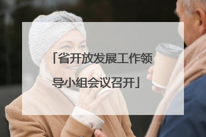 省开放发展工作领导小组会议召开
